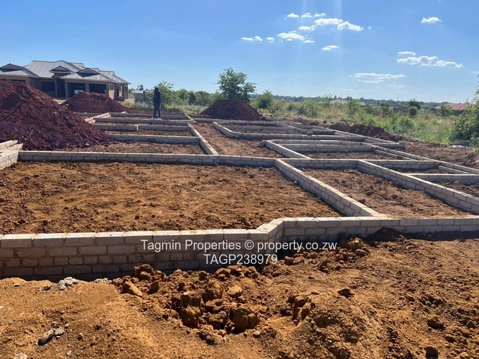 Galloway Stand Norton