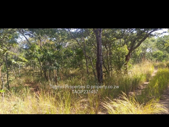 Darwendale  Prime Plot in a gated complex