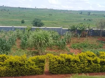 6 Bedroom Townhouse Complex