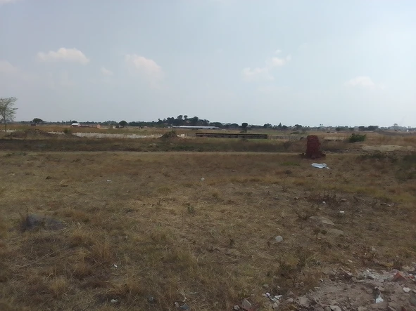 Farm & Agricultural Land