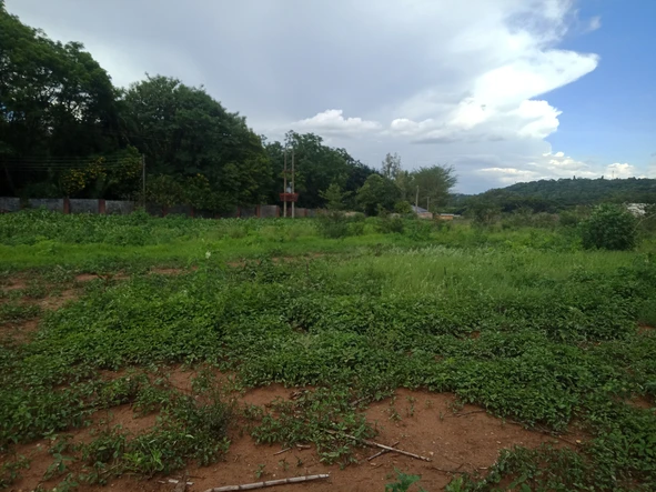 Greyston Park Stand For Sale 